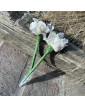 Lapicera flor